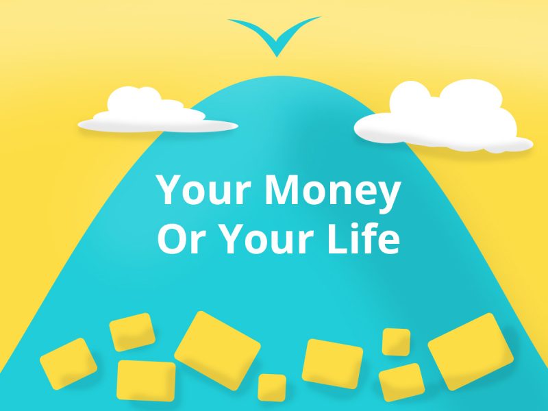 your money your life summary
