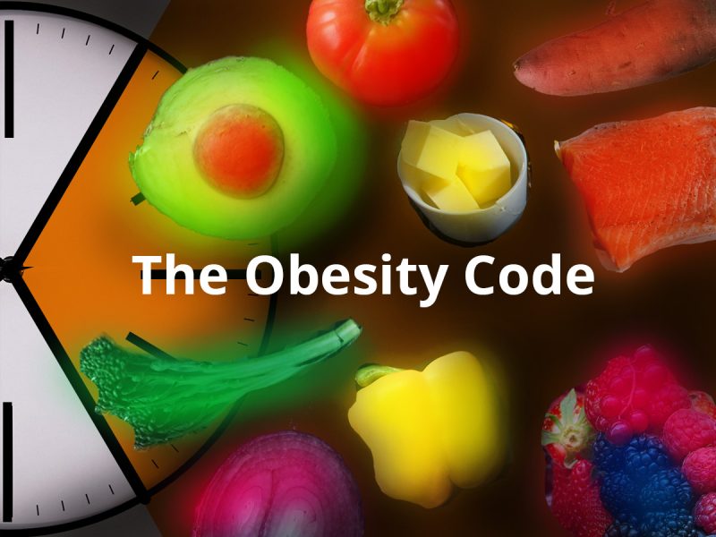 the obesity code summary